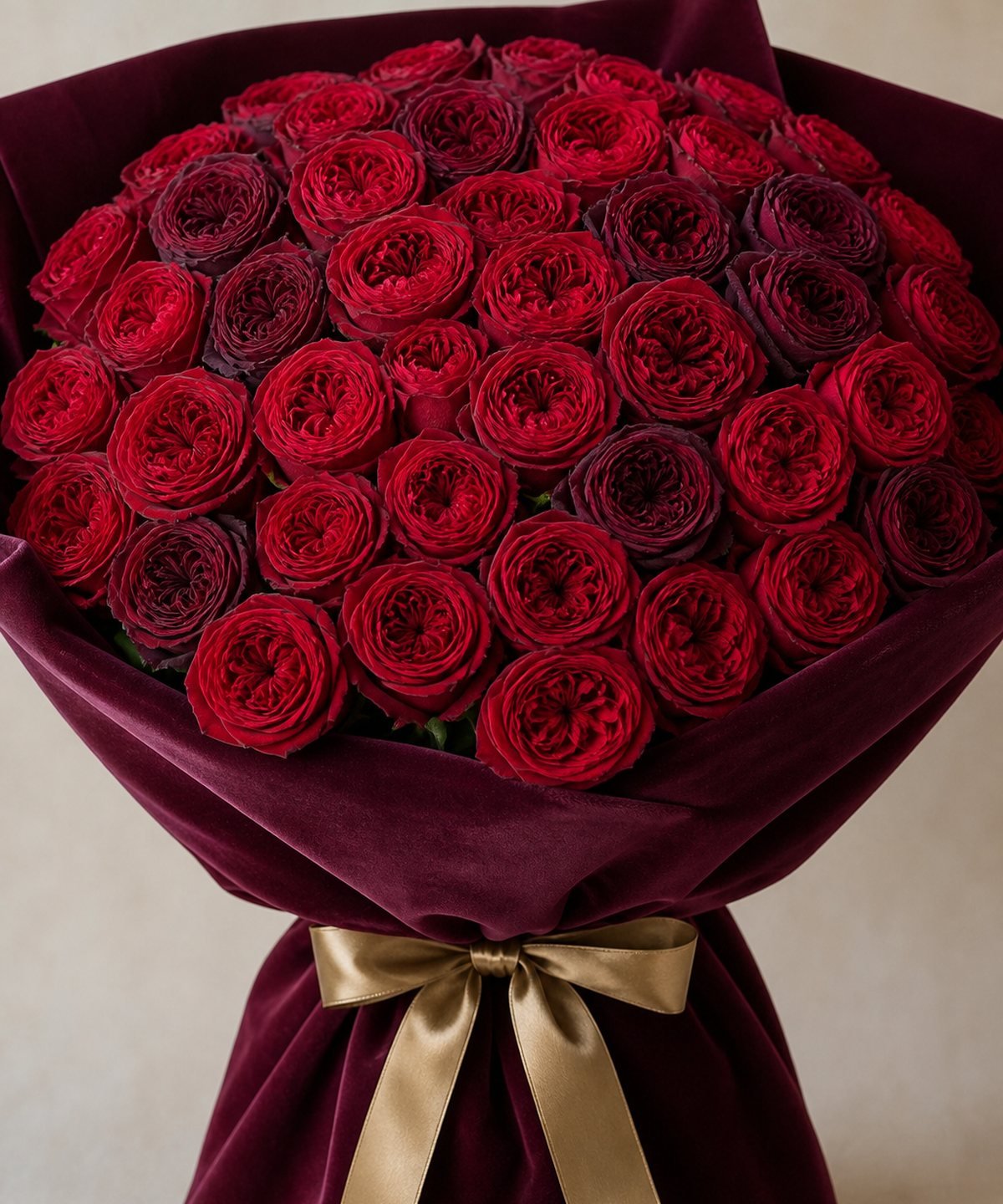 Midnight Velvet Roses
